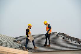 Roof Moss and Algae Removal in Ettrick, VA